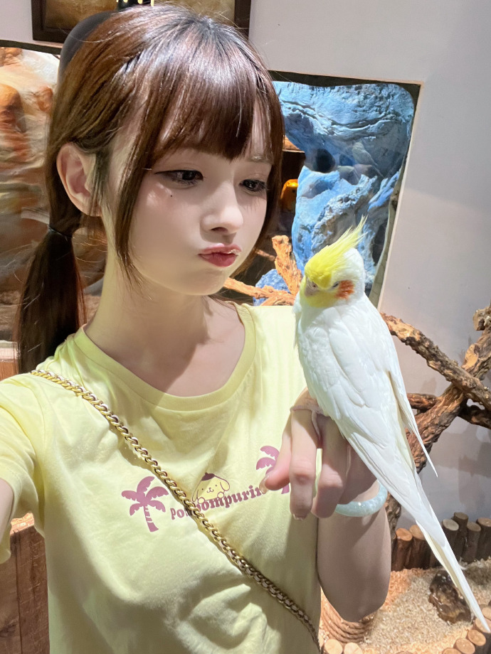 间谍过家家 封面